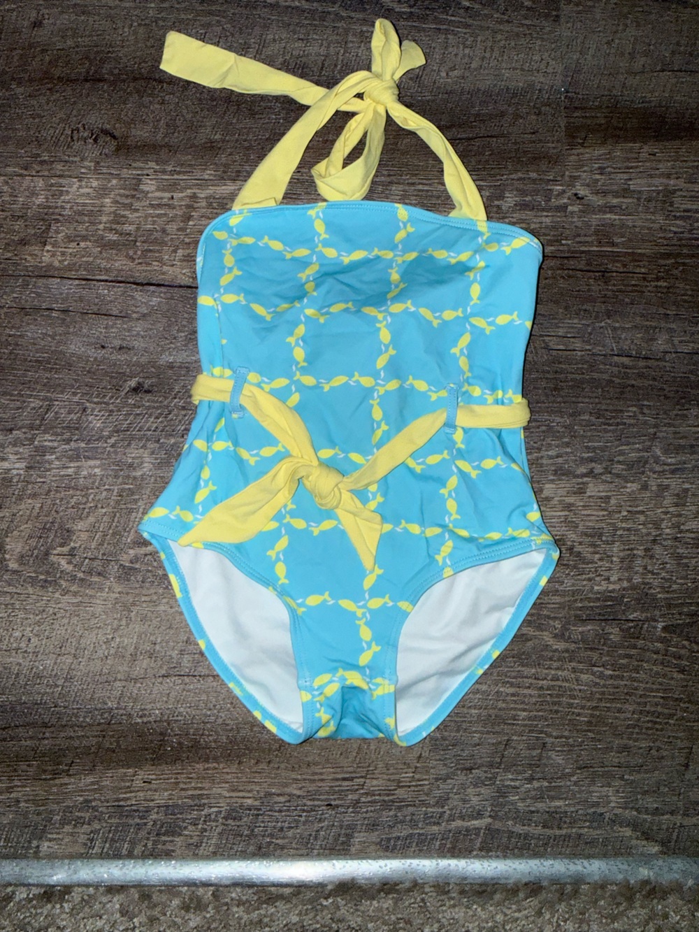 TBBC Sapadilla School of fish swimsuit